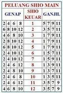 Jalur Main Togel 2024