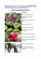 Sebutkan Nama Nama Buah Dari Huruf M